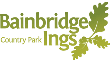 Bainbridge Ings