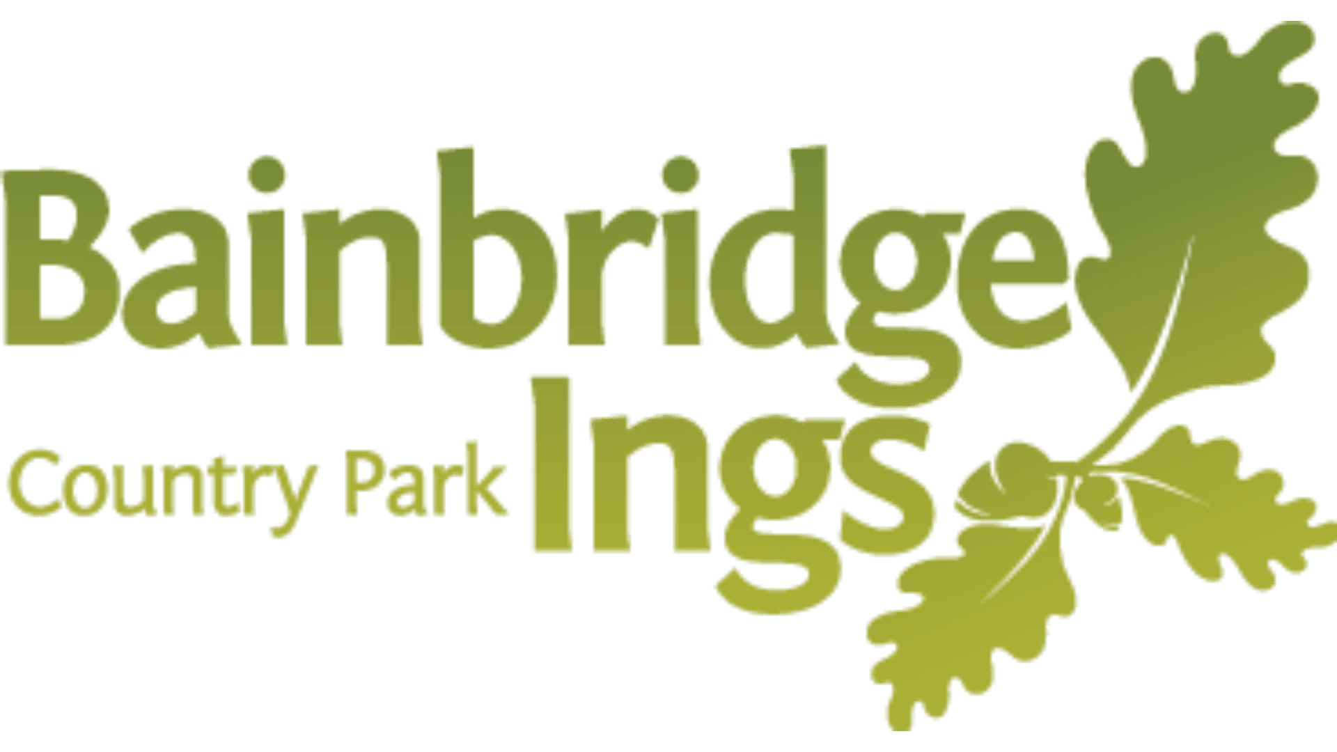 Bainbridge Ings